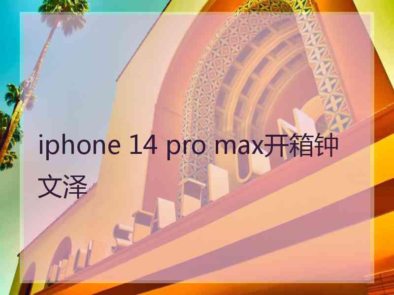 iphone 14 pro max开箱钟文泽