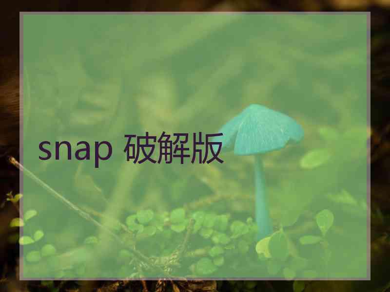 snap 破解版