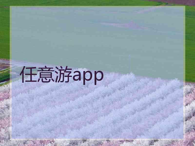 任意游app