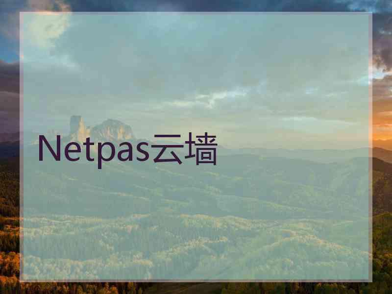 Netpas云墙