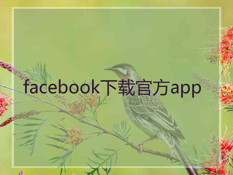 facebook下载官方app