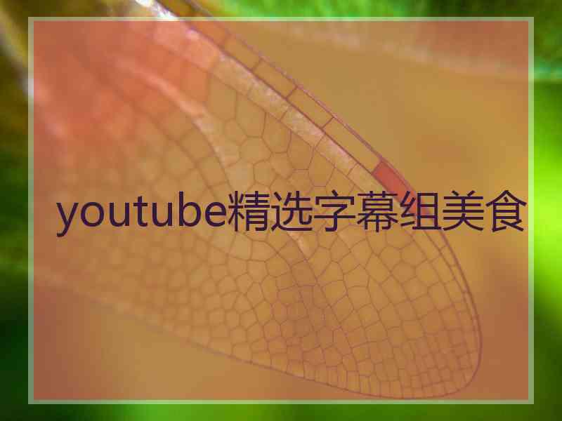 youtube精选字幕组美食