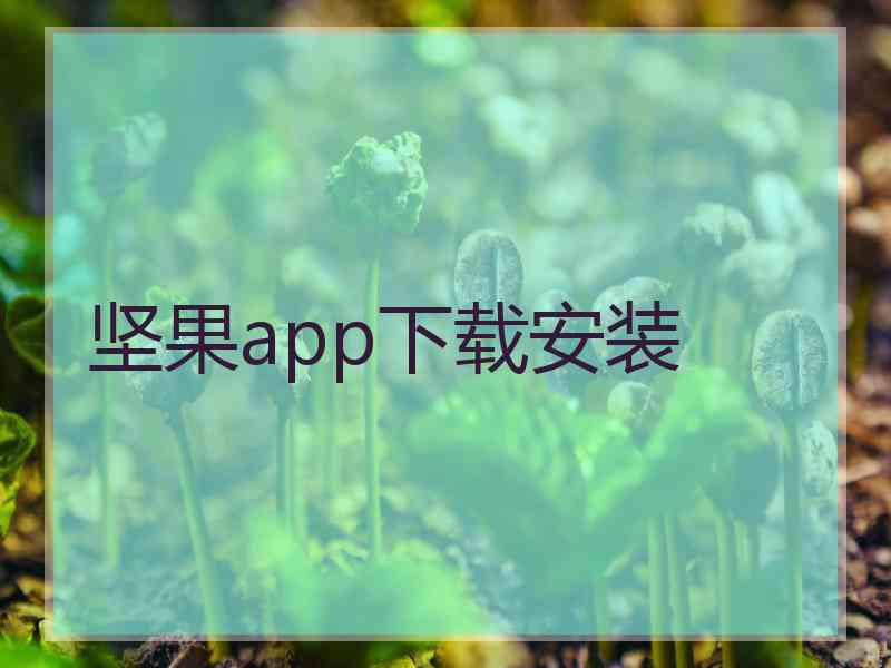 坚果app下载安装