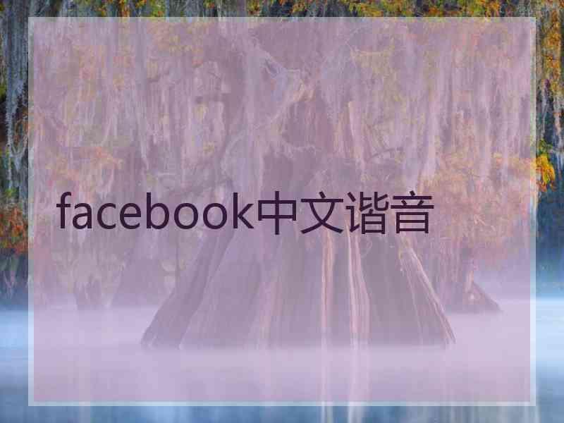 facebook中文谐音