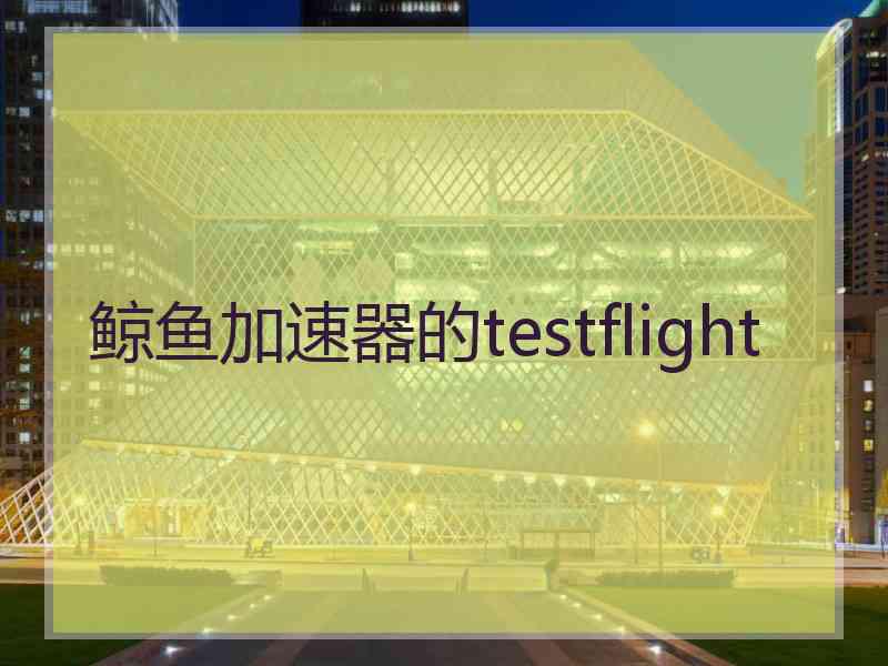 鲸鱼加速器的testflight