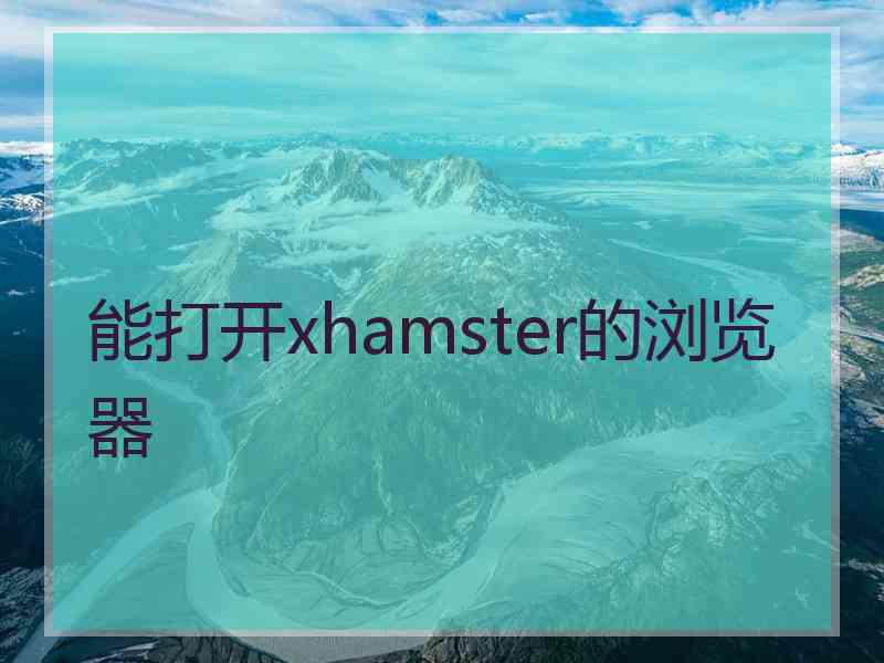 能打开xhamster的浏览器