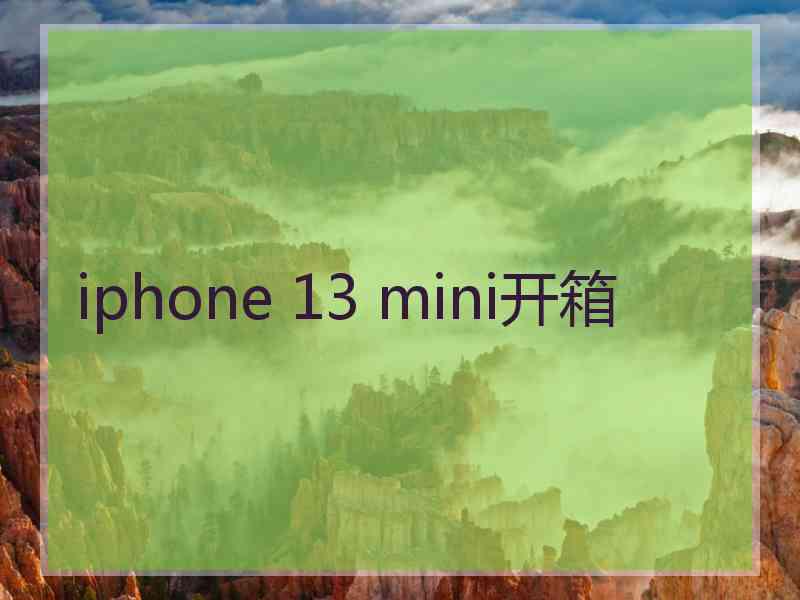 iphone 13 mini开箱