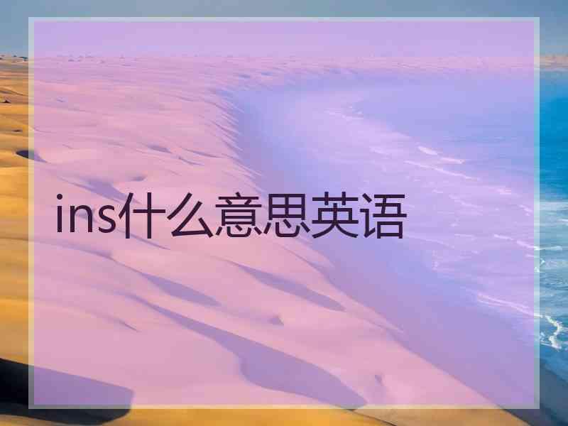 ins什么意思英语