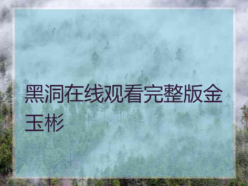 黑洞在线观看完整版金玉彬