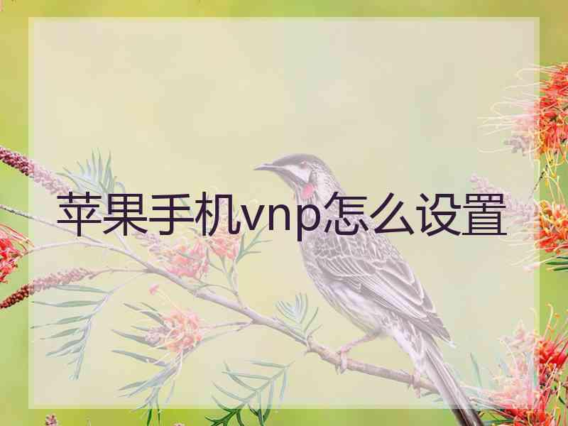 苹果手机vnp怎么设置