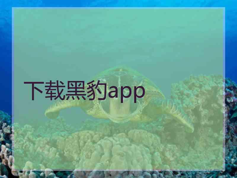 下载黑豹app