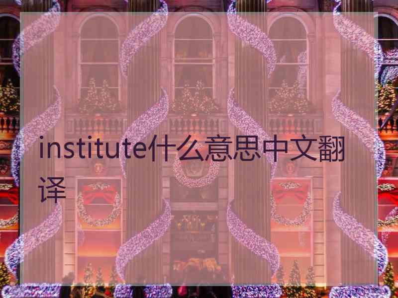 institute什么意思中文翻译