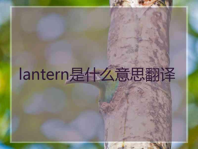 lantern是什么意思翻译