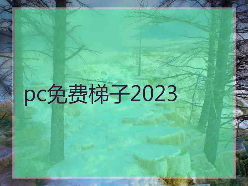 pc免费梯子2023