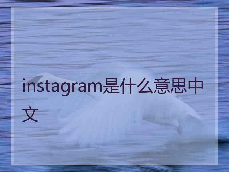 instagram是什么意思中文