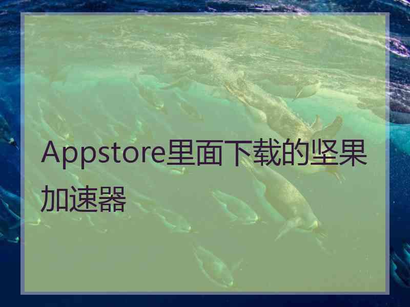 Appstore里面下载的坚果加速器