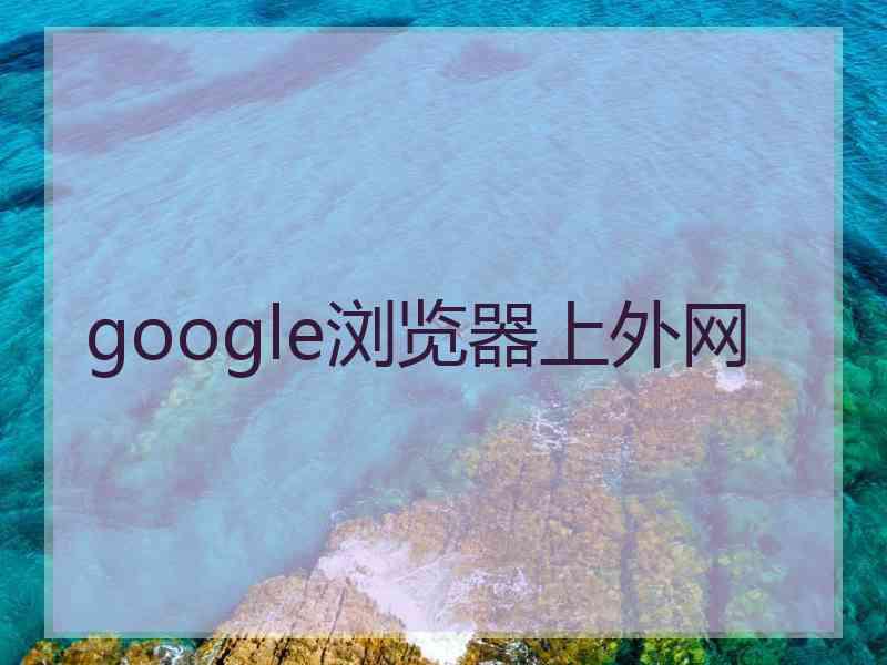 google浏览器上外网