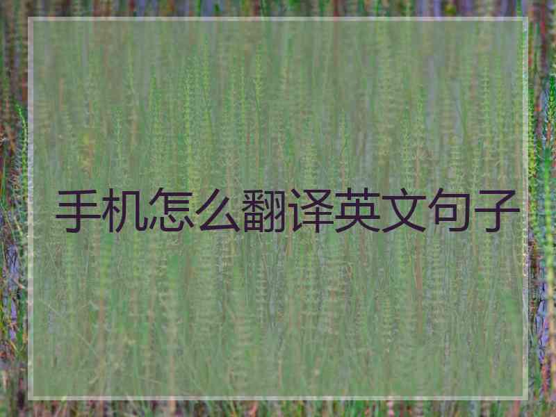 手机怎么翻译英文句子