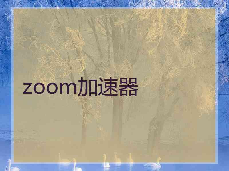 zoom加速器