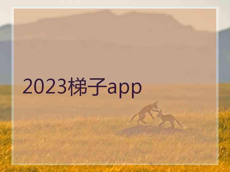 2023梯子app