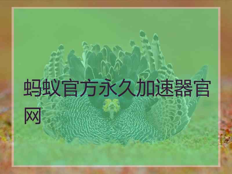 蚂蚁官方永久加速器官网