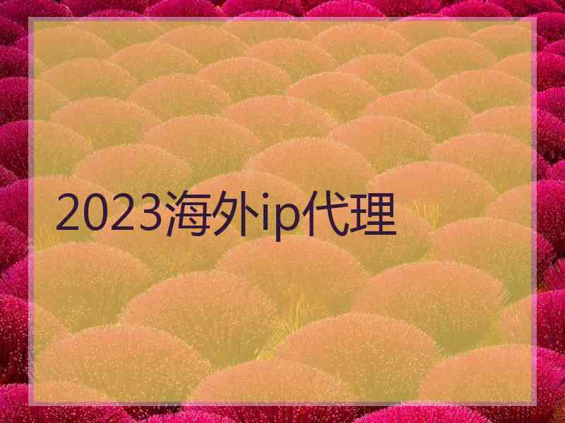 2023海外ip代理