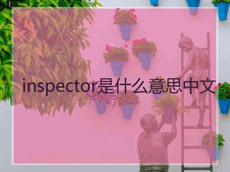 inspector是什么意思中文