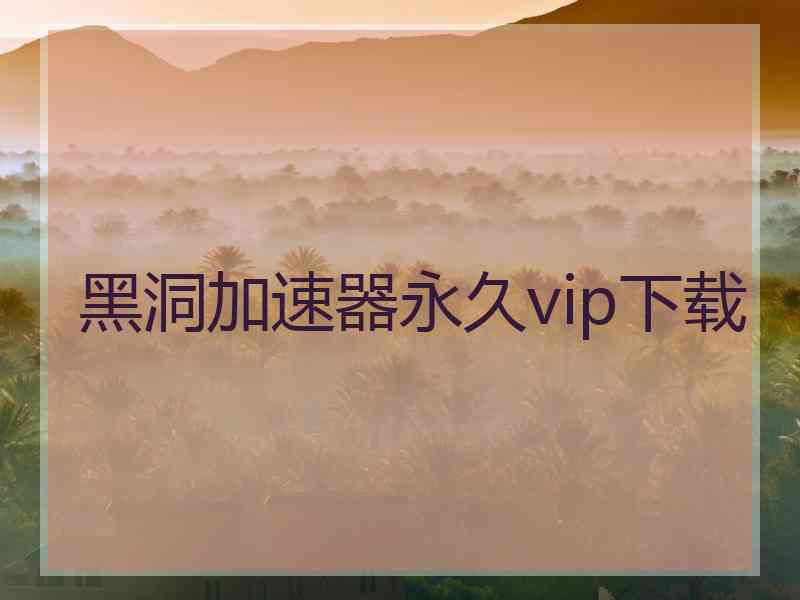 黑洞加速器永久vip下载