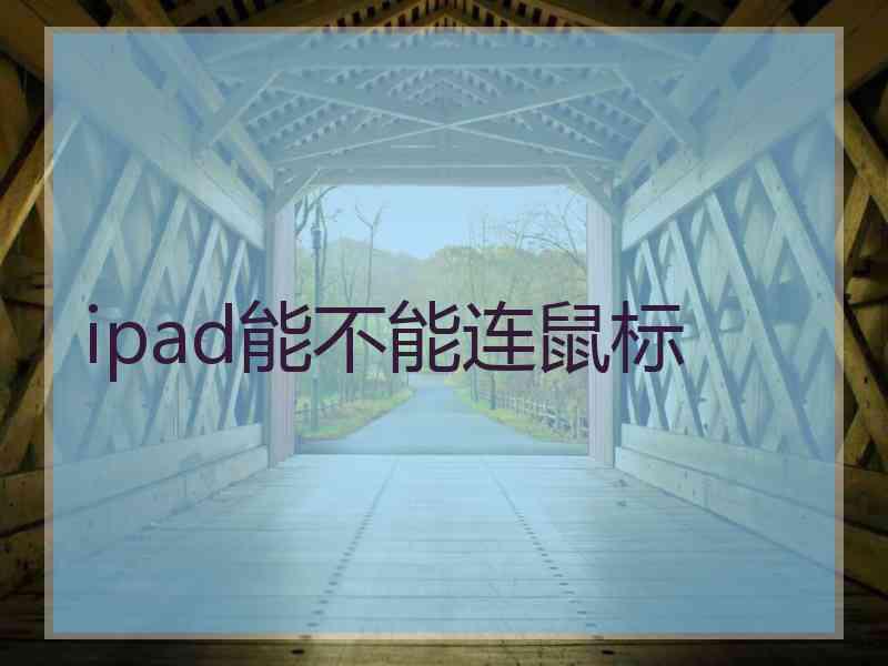 ipad能不能连鼠标