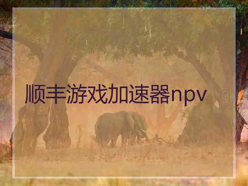 顺丰游戏加速器npv