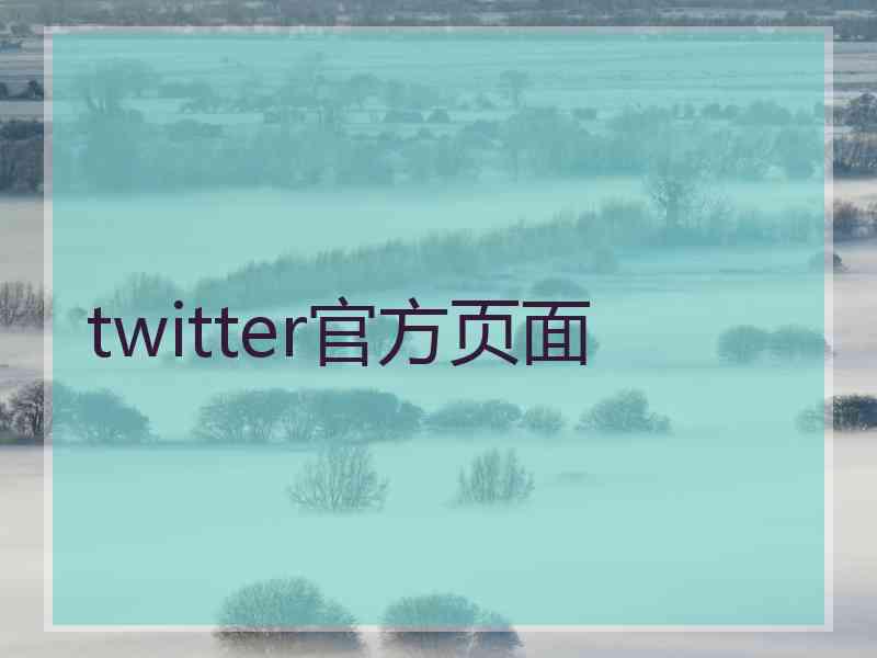 twitter官方页面