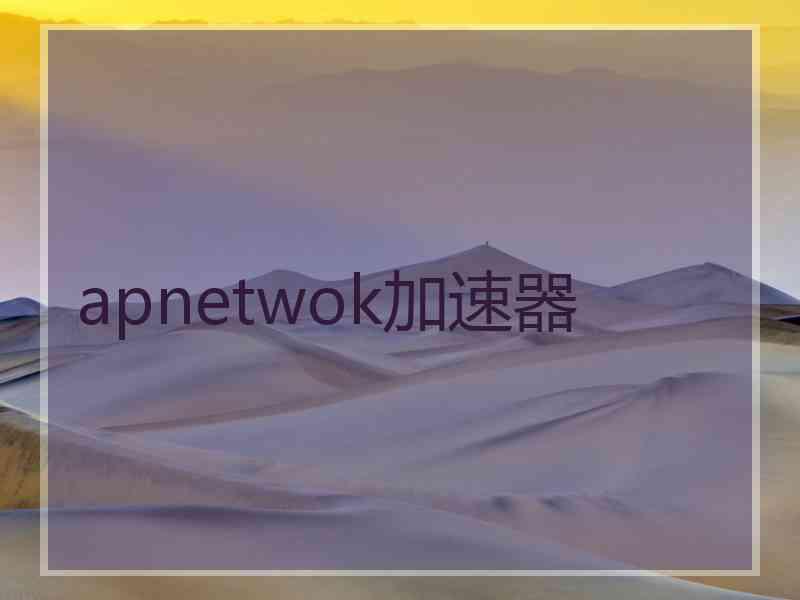 apnetwok加速器