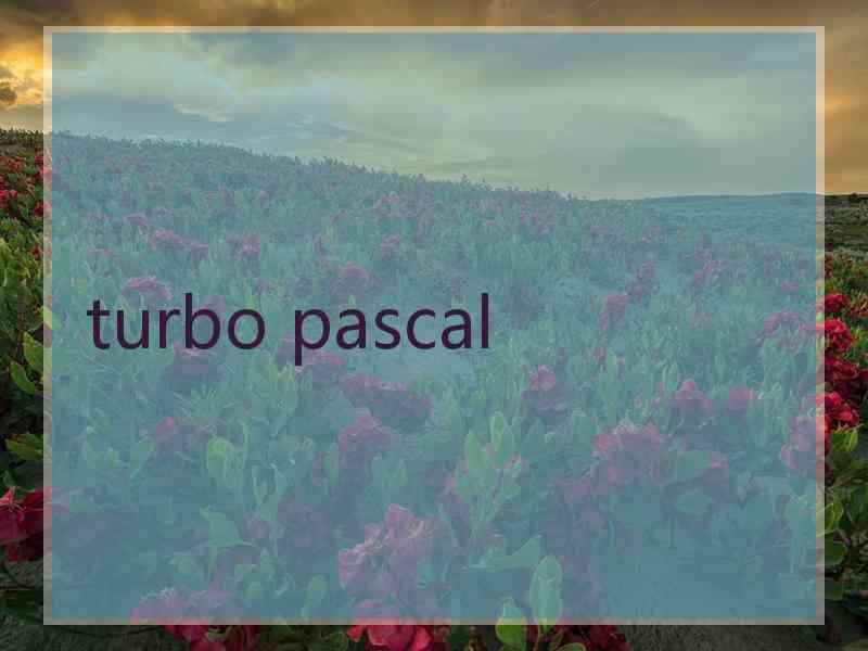 turbo pascal