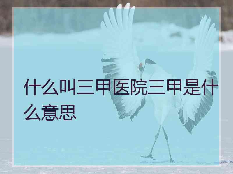 什么叫三甲医院三甲是什么意思