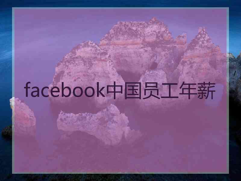 facebook中国员工年薪