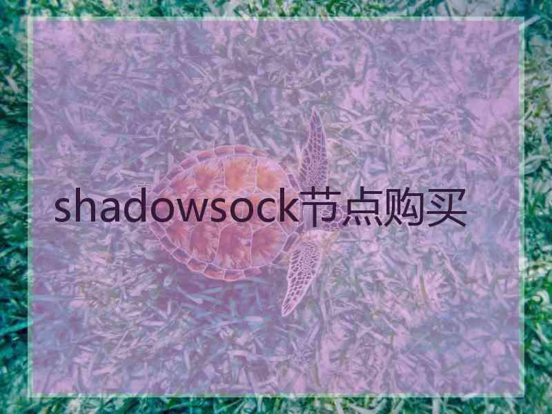 shadowsock节点购买