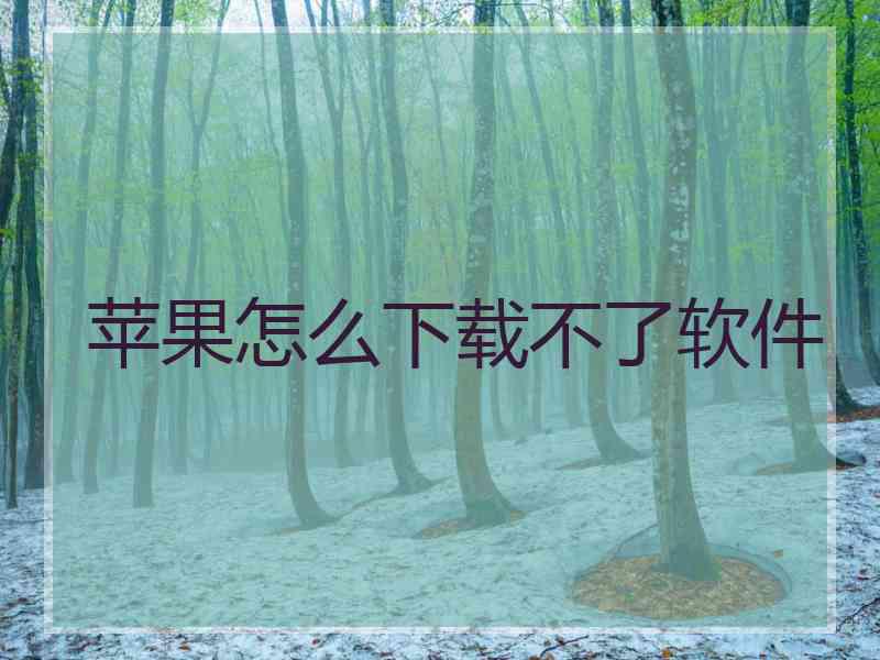 苹果怎么下载不了软件