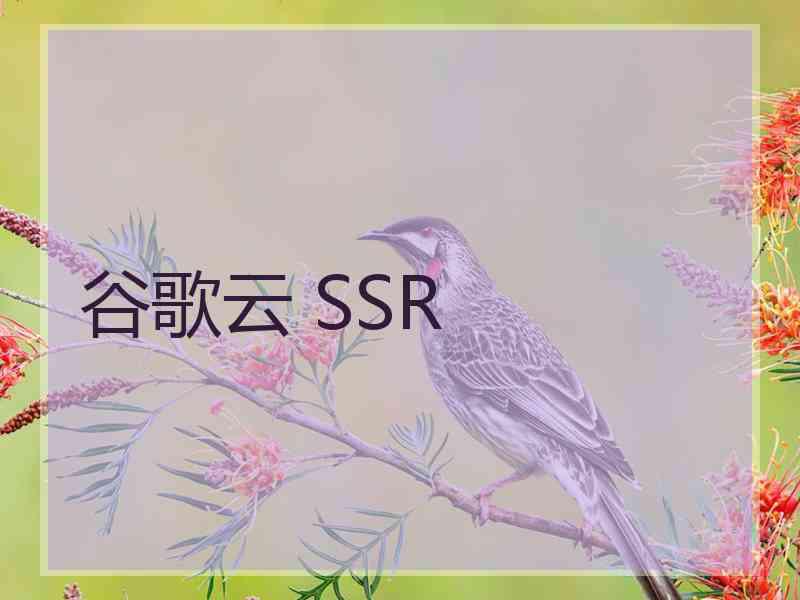 谷歌云 SSR