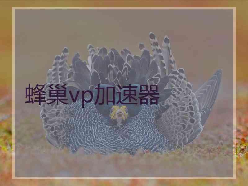 蜂巢vp加速器