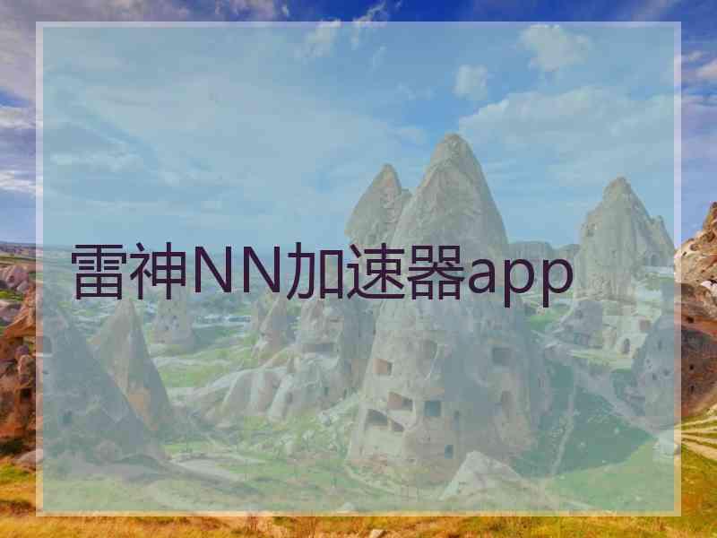 雷神NN加速器app