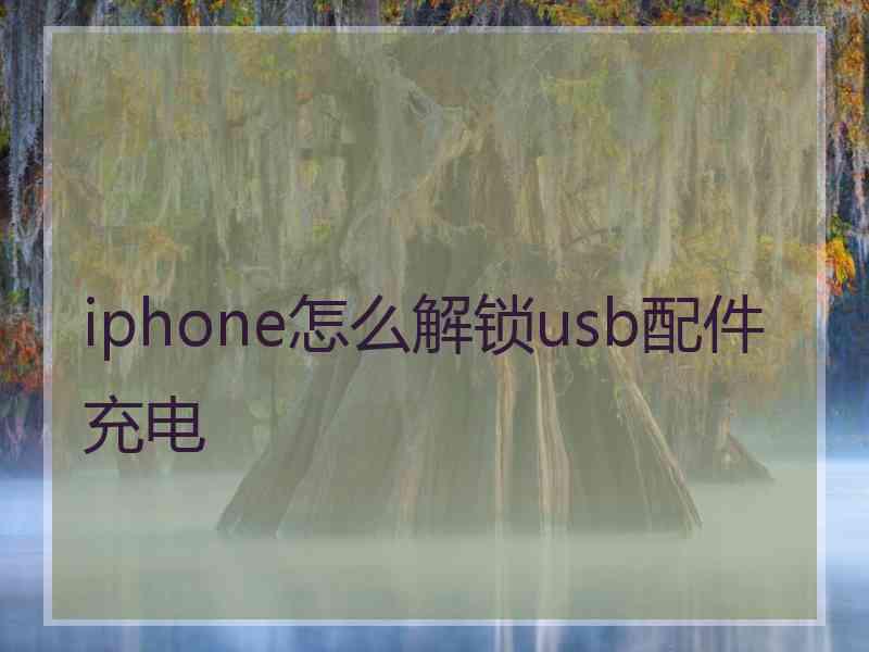 iphone怎么解锁usb配件充电