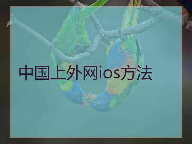 中国上外网ios方法