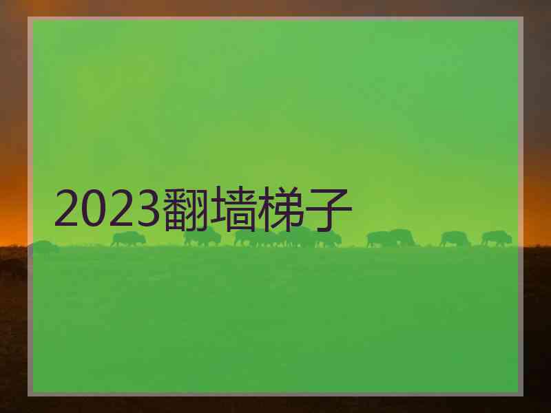 2023翻墙梯子