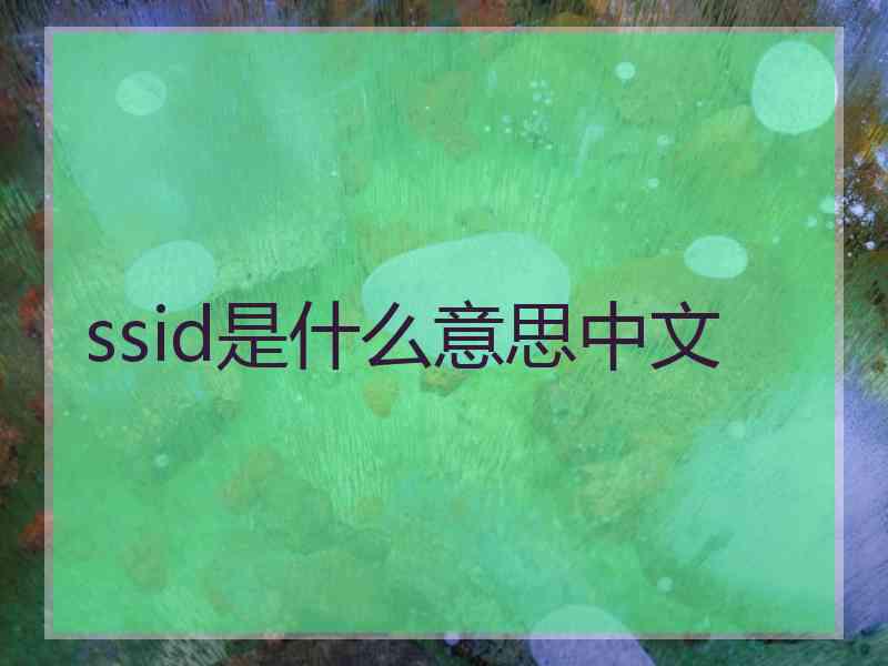 ssid是什么意思中文