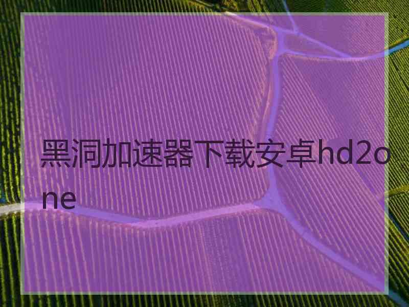 黑洞加速器下载安卓hd2one