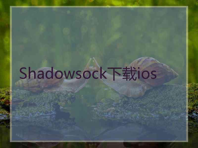 Shadowsock下载ios