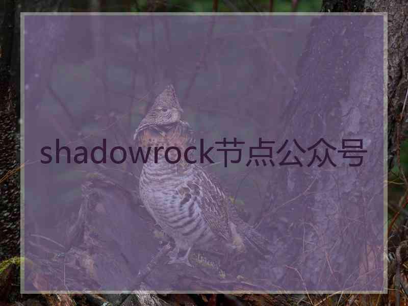 shadowrock节点公众号