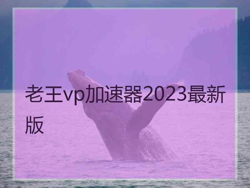 老王vp加速器2023最新版