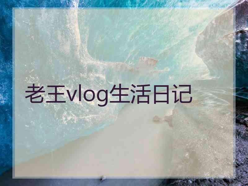 老王vlog生活日记