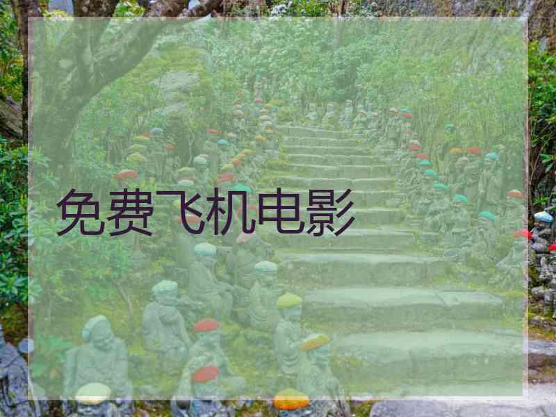 免费飞机电影